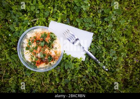 Schale mit Macaroni Salat bei einem Picknick Stockfoto