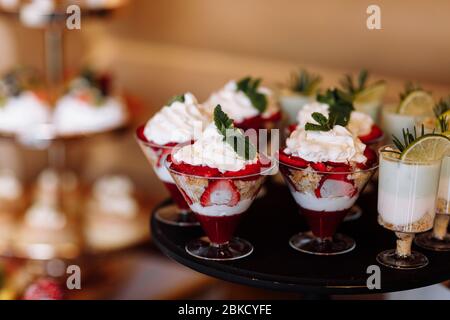 Eiswürfelschaufeln Set Transparent - Praktisch Für Buffet & Party