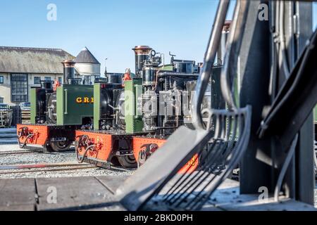 GWR 2-6-2 No. 7, No. 8 und No. 1213 Line-Up in Aberystwyth auf der Vale of Rheidol Railway während ihres Steam Festival Wochenendes Stockfoto