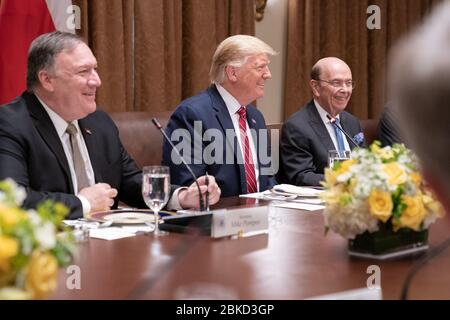 Präsident Trump trifft sich am 12. Juni 2019 im Kabinettssaal des Weißen Hauses mit dem polnischen Präsidenten Andrzej Duda zu einer erweiterten bilateralen Diskussion über die Beziehungen zwischen den USA und Polen. Stockfoto