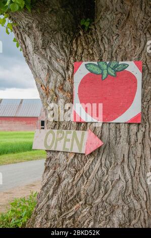 Handgemachtes Schild Werbung lokalen Markt von Erdbeeren / Erdbeeren auf der Seite einer Landstraße. Farmers Market Sign Konzept Stockfoto