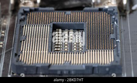 Der Prozessor ist ein kleiner Chip, der in Computern und anderen elektronischen Geräten steckt Stockfoto