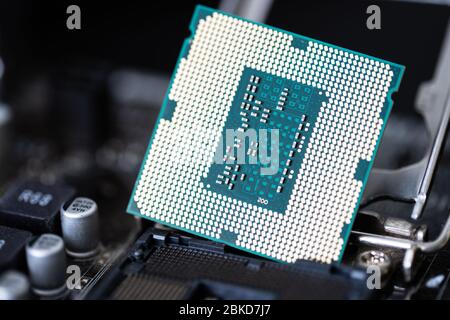 Der Prozessor ist ein kleiner Chip, der in Computern und anderen elektronischen Geräten steckt Stockfoto