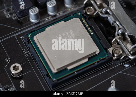 Der Prozessor ist ein kleiner Chip, der in Computern und anderen elektronischen Geräten steckt Stockfoto