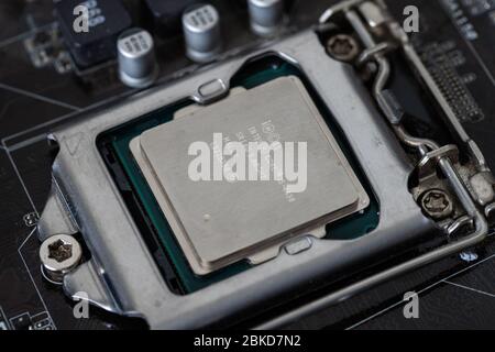 Der Prozessor ist ein kleiner Chip, der in Computern und anderen elektronischen Geräten steckt Stockfoto