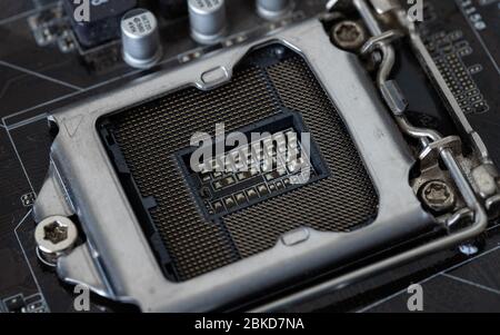 Der Prozessor ist ein kleiner Chip, der in Computern und anderen elektronischen Geräten steckt Stockfoto