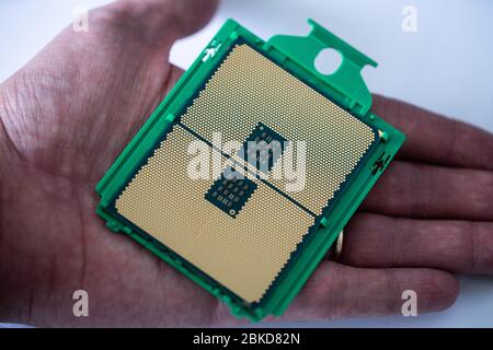 Der Prozessor ist ein kleiner Chip, der in Computern und anderen elektronischen Geräten steckt Stockfoto