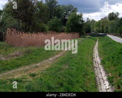 Der Bullengraben ist ein über 4 Kilometer langer Grünzug mit einem Fluss zur Havel in Berlin-Spandau. Stockfoto