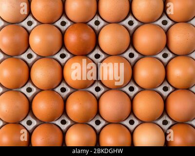 Dreißig braune Hühnereier in einer Kartonverpackung. Rohe frische Hühnereier in einer Kartonverpackung. Eiermuster Hintergrund für ostern, Frühstück, Küche. Stockfoto