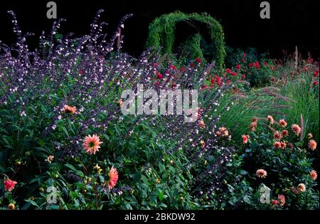 Schaugarten, Blithewold Villa, Garten und Arboretum, Rhode Island Stockfoto