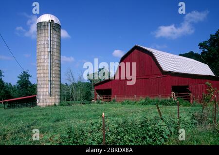 Scheune mit Silo, Franklin County, Tennessee Stockfoto