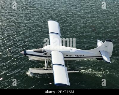 Wasserflugzeug landet auf dem Wasser in Juneau, Alaska. Juneau ist die einzige Hauptstadt, die nicht über Straßen erreichbar ist. Stockfoto