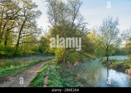 River cherwell neben dem Oxford Kanal an einem Frühlingsmorgen. Lower Heyford, Oxfordshire, England Stockfoto
