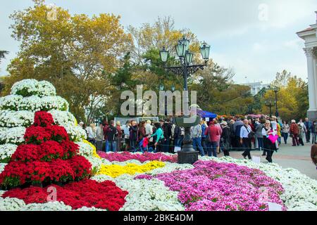 Sevastapol krim, Sevastapol ukraine, Sevastapol russland, russische Invasion, Sevastapol Blumenfest, Weiße Blume Wohltätigkeitsmesse, Weiße Blume Aktion Stockfoto