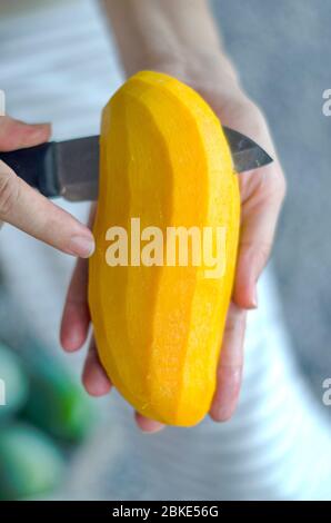 Reife Mango. Frau mit einem Messer zu reifen Früchten schälen, gelb, duftend und süß. Stockfoto