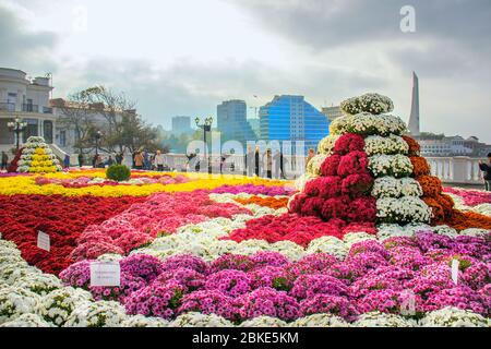 Sevastapol krim, Sevastapol ukraine, Sevastapol russland, russische Invasion, Sevastapol Blumenfest, Weiße Blume Wohltätigkeitsmesse, Weiße Blume Aktion Stockfoto