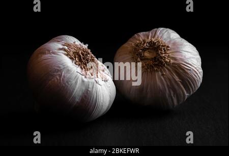 Knoblauch Makro chiaroscuro isoliert auf einem schwarzen Hintergrund Kochen dunklen Nahaufnahme Stockfoto