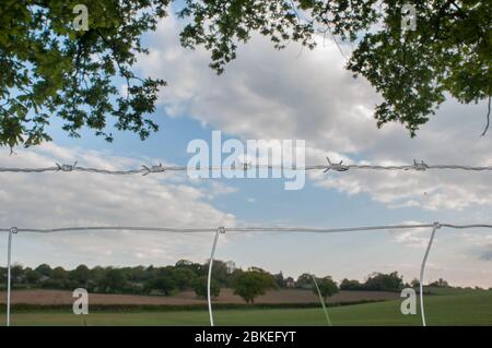 Stacheldraht Stockfoto