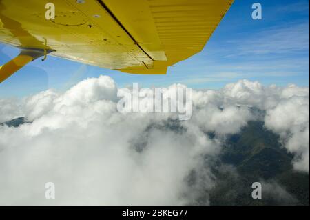 Luftaufnahme von einem hellgelben Flugzeug. Schöne Szene mit Flügelspitze, blauem Himmel und weichen flauschigen Wolken Stockfoto