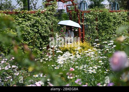 Hefei, Chinas Provinz Anhui. Mai 2020. Eine Touristen genießt ihre Freizeit in einem Garten während des Labor Day Feiertags in Hefei, Ostchinesische Provinz Anhui, 4. Mai 2020. Kredit: Zhang Duan/Xinhua/Alamy Live News Stockfoto