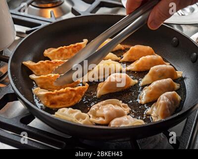 Nahaufnahme von japanischen Knödeln. Die Gyoza-Knödel kochen in einer Pfanne mit heißem Öl und werden umgedreht, um die goldbraune Außenseite zu sehen. Stockfoto