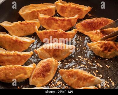 Nahaufnahme von japanischen Knödeln. Die Gyoza-Knödel kochen in einer Pfanne mit heißem Öl und werden umgedreht, um die goldbraune Außenseite zu sehen. Stockfoto