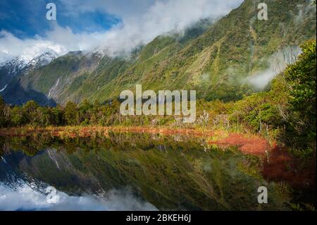 Peter's Pool, Franz Josef Nationalpark, Neuseeland. Bunte Landschaft, Berg- und Baumspiegelungen spiegeln sich im Winter im Wasser wider. Stockfoto