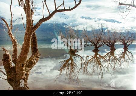 Die Weiden des Lake Wakatipu, Glenorchy, Neuseeland. Magische Szene im Winter. Stockfoto