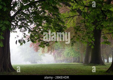 UK Wetter, Northampton, 4. Mai 2020. Am frühen Morgen ist es leicht nebelnd im Abington Park, was sehr ruhig ist, weil das Coronavirus da ist. Kredit: Keith J Smith/Alamy Live News Stockfoto