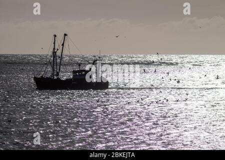 Kleines Fischerboot im Hafen von Newhaven Stockfoto