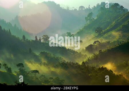 Mit Wald und Sträuchern bedeckte Bergrücken am Fuße des Berges Pangrango, vom Dorf Benda in Cicurug, Sukabumi, West Java, Indonesien aus gesehen. Stockfoto