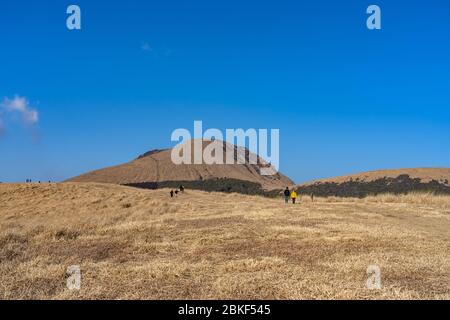 Kusasenri (Kusasenri-ga-hama) Prärie im Januar, Mt. Kishima im Hintergrund. Nationalpark Aso Kuju, Präfektur Kumamoto, Japan Stockfoto