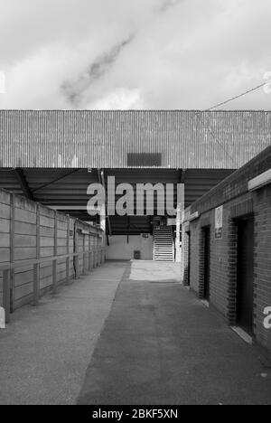 Ellerslie Road Stand Blue Stadium 1960s 1970s Architecture Stahlbau QPR FC Loftus Road South Africa Road, Shepherd's Bush, London W12 Stockfoto