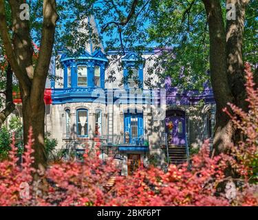 Bunte viktorianische Häuser in Le Plateau Mont Royal Bezirk in Montreal, Quebec Stockfoto