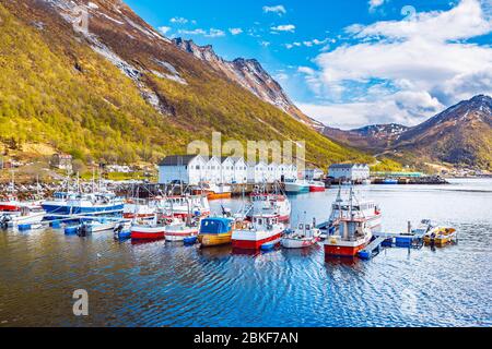 Der Hafen von Husoy Dorf auf der Insel Senja jenseits des Polarkreises in Norwegen Stockfoto