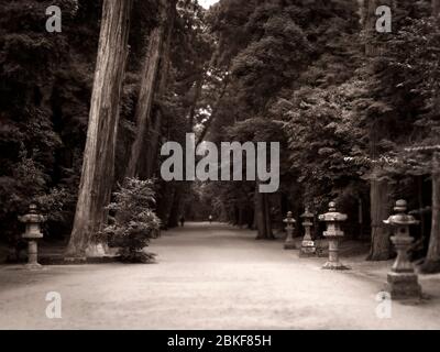 Kashima Jingu Wald ....http://en.wikipedia.org/wiki/Tōrō ......Steinlaternen Stockfoto