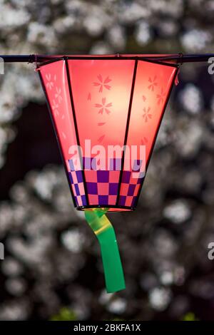 Dekorative elektrische Laternen hingen im Osaka Schlosspark, um Sakura, Yozakura, während der Kirschblüte-Saison in Osaka, Japan, bei Nacht zu betrachten Stockfoto