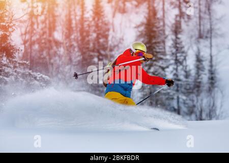 Mann Sportler Bergski Fahrten auf weichen Schnee Spur in Wäldern, Brust Action-Kamera. Extreme Konzept Stockfoto