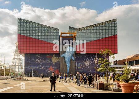 Osaka / Japan - 25. Dezember 2017: Osaka Aquarium Kaiyukan, eines der größten öffentlichen Aquarien der Welt, Osaka, Japan Stockfoto