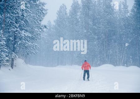Herren-Langlaufloipe in orangefarbener Jacke, schwarze Hose. Winterschnee Tag. Stockfoto