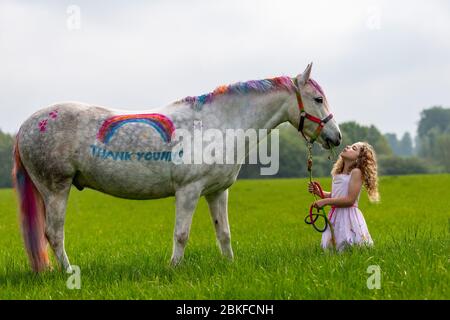 Bridgnorth, Shropshire, Großbritannien. Mai 2020. Die 8-jährige Amber Price aus Bridgnorth mit ihrem New Forest Pony, Bär. Bear wurde mit einem "Dankeschön" an den NHS mit spezieller Ponyfarbe bemalt. Quelle: Peter Lopeman/Alamy Live News Stockfoto