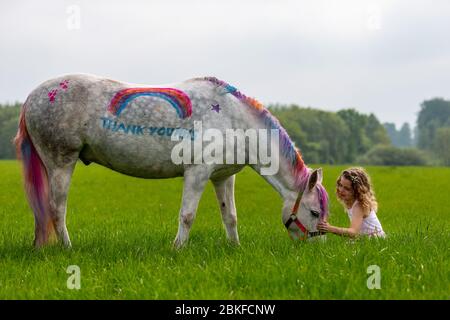 Bridgnorth, Shropshire, Großbritannien. Mai 2020. Die 8-jährige Amber Price aus Bridgnorth mit ihrem New Forest Pony, Bär. Bear wurde mit einem "Dankeschön" an den NHS mit spezieller Ponyfarbe bemalt. Quelle: Peter Lopeman/Alamy Live News Stockfoto