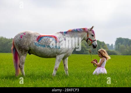 Bridgnorth, Shropshire, Großbritannien. Mai 2020. Die 8-jährige Amber Price aus Bridgnorth mit ihrem New Forest Pony, Bär. Bear wurde mit einem "Dankeschön" an den NHS mit spezieller Ponyfarbe bemalt. Quelle: Peter Lopeman/Alamy Live News Stockfoto