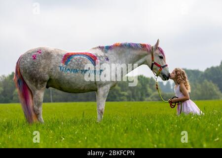 Bridgnorth, Shropshire, Großbritannien. Mai 2020. Die 8-jährige Amber Price aus Bridgnorth mit ihrem New Forest Pony, Bär. Bear wurde mit einem "Dankeschön" an den NHS mit spezieller Ponyfarbe bemalt. Quelle: Peter Lopeman/Alamy Live News Stockfoto