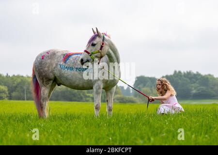 Bridgnorth, Shropshire, Großbritannien. Mai 2020. Die 8-jährige Amber Price aus Bridgnorth mit ihrem New Forest Pony, Bär. Bear wurde mit einem "Dankeschön" an den NHS mit spezieller Ponyfarbe bemalt. Quelle: Peter Lopeman/Alamy Live News Stockfoto