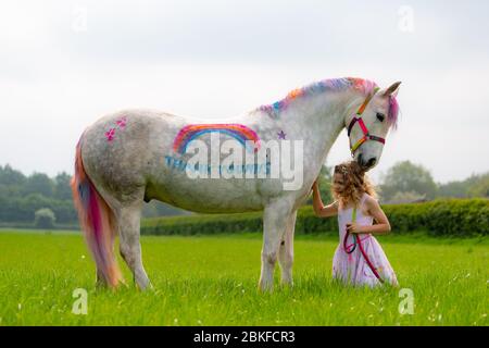 Bridgnorth, Shropshire, Großbritannien. Mai 2020. Die 8-jährige Amber Price aus Bridgnorth mit ihrem New Forest Pony, Bär. Bear wurde mit einem "Dankeschön" an den NHS mit spezieller Ponyfarbe bemalt. Quelle: Peter Lopeman/Alamy Live News Stockfoto