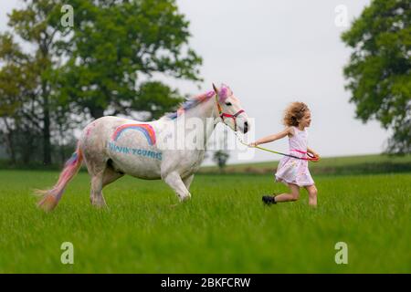 Bridgnorth, Shropshire, Großbritannien. Mai 2020. Die 8-jährige Amber Price aus Bridgnorth mit ihrem New Forest Pony, Bär. Bear wurde mit einem "Dankeschön" an den NHS mit spezieller Ponyfarbe bemalt. Quelle: Peter Lopeman/Alamy Live News Stockfoto