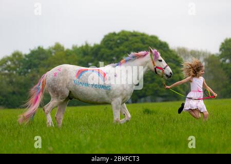 Bridgnorth, Shropshire, Großbritannien. Mai 2020. Die 8-jährige Amber Price aus Bridgnorth mit ihrem New Forest Pony, Bär. Bear wurde mit einem "Dankeschön" an den NHS mit spezieller Ponyfarbe bemalt. Quelle: Peter Lopeman/Alamy Live News Stockfoto