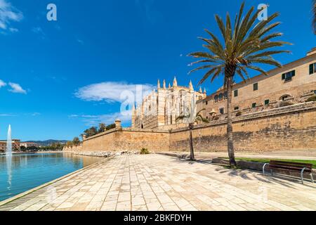 Kathedrale Santa Maria unter dem blauen Himmel, wie vom Parc de la Mar in Palma de Mallorca, Spanien. Stockfoto