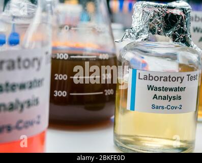 Abwasserproben, Analyse des sars-Cov-2 Virus bei Patienten mit humanem Coronavirus 229E, konzeptionelles Bild Stockfoto